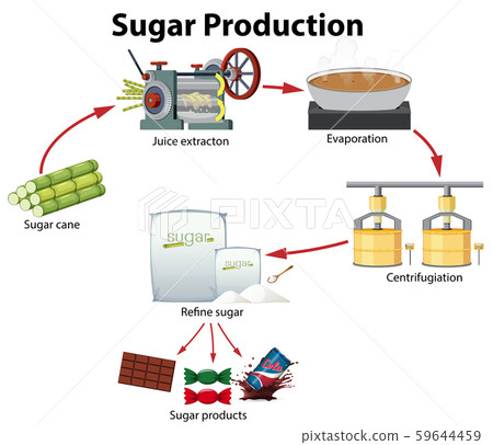 A Sugar Production Diagram - Stock Illustration [59644459] - PIXTA