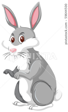 A rabbit on white background-插圖素材 [59644500] - PIXTA圖庫