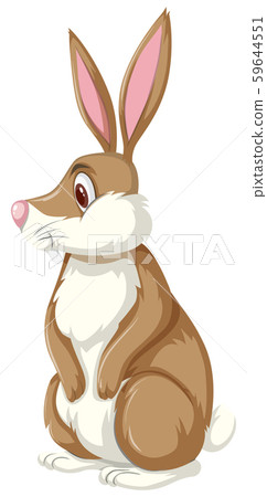 Cute brown rabbit sitting Cute brown rabbit sitting 59644551