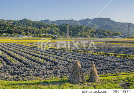 鄉村景觀滋賀 鄉村景觀滋賀 59644574