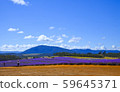 Stock Photo: Bridestowe Lavender Estate 59645371