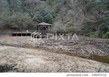 Drowned pond and rest area in the park 59645410