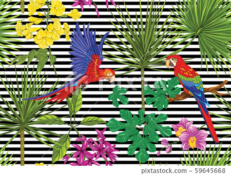 Seamless pattern, background with tropical plants Seamless pattern, background with tropical plants 59645668