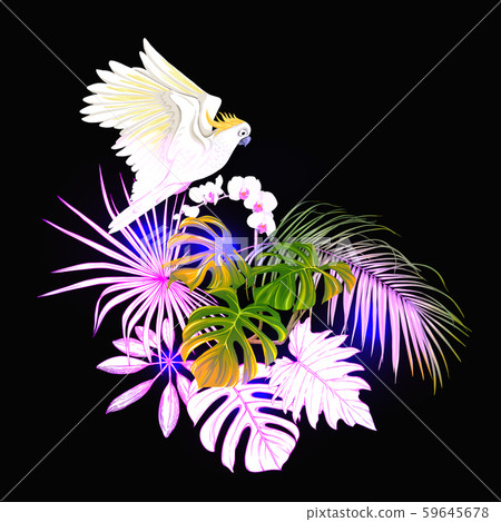 A composition of tropical plants, palm leaves A composition of tropical plants, palm leaves 59645678