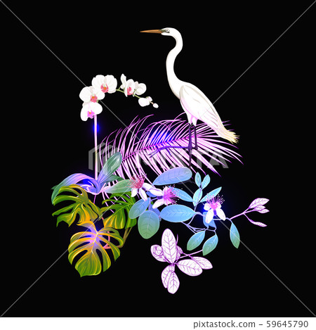 A composition of tropical plants, palm leaves 59645790