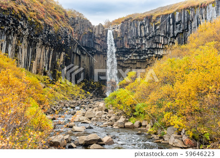 Svartifoss, famous Black waterfall, Iceland Skaftafel national park 59646223