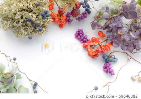 Autumn flowers Autumn flowers 59646382