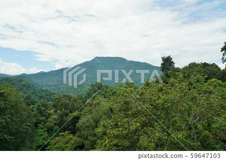 泰國清邁 清邁 植物園 59647103