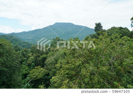從泰國清邁詩麗吉王后植物園看到的風景,自然和山脈 從泰國清邁詩麗吉王后植物園看到的風景,自然和山脈 59647105