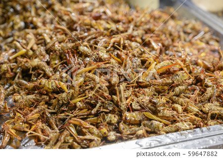 The Fried insects-thai 59647882