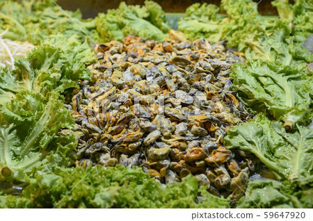 Asian green mussels from Thailand 59647920