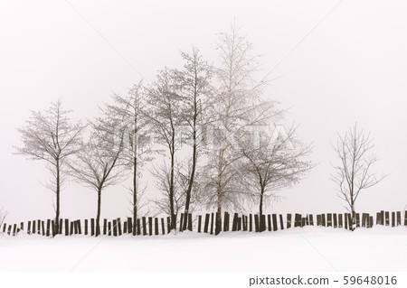 Minimalistic winter landscape in cloudy weather Minimalistic winter landscape in cloudy weather 59648016