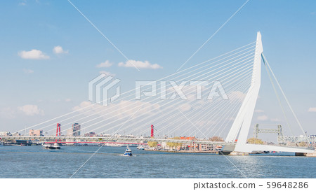 Erasmus Bridge in Rotterdam, Netherlands Erasmus Bridge in Rotterdam, Netherlands 59648286