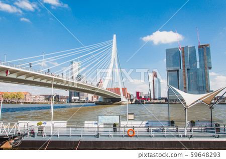 Erasmus Bridge in Rotterdam, Netherlands Erasmus Bridge in Rotterdam, Netherlands 59648293
