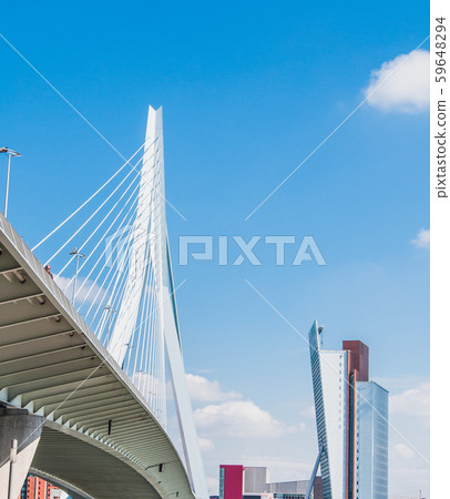 Erasmus Bridge in Rotterdam, Netherlands Erasmus Bridge in Rotterdam, Netherlands 59648294