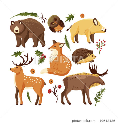 Hand drawn forest animal set in a flat style. Hand drawn forest animal set in a flat style. 59648386