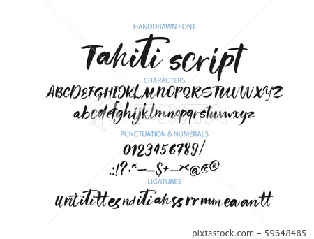 Textured calligraphy alphabet. Textured calligraphy alphabet. 59648485