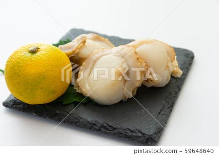 生扇貝 生扇貝 59648640