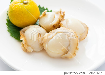 生扇貝 59648644
