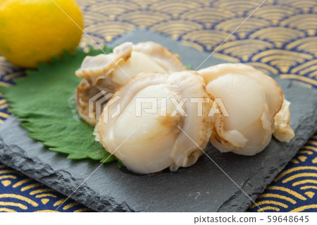 生扇貝 59648645