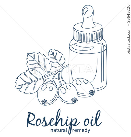 Rosehip oil and berries in bottle illustration. Essential oil cartoon vector icon 59649226