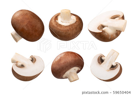 Portobello mushroom a. bisporus, paths Portobello mushroom a. bisporus, paths 59650404