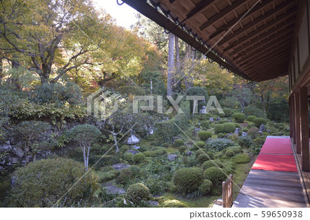 Misen-in Misen-in 59650938