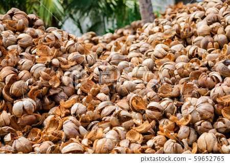 A huge mountain of coconut shells on a background of tropical palm trees A huge mountain of coconut shells on a background of tropical palm trees 59652765