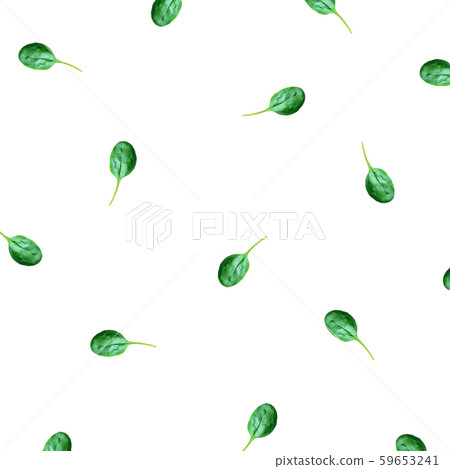 The pattern of spinach leaves on a white background The pattern of spinach leaves on a white background 59653241