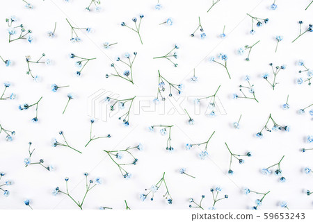 Beautiful flower background of blue gypsophila flowers. 59653243