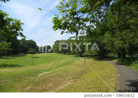 東京都調布市野川公園小金井市三鷹市 東京都調布市野川公園小金井市三鷹市 59653632
