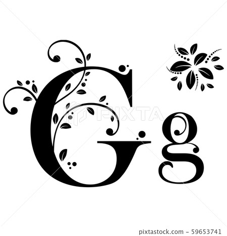 Decorated Alphabet with ornaments vintage vector, Letter G upper and lower case with leaves vector. Decoration vintage for invites card and other concept ideas. Illustration alphabet 59653741