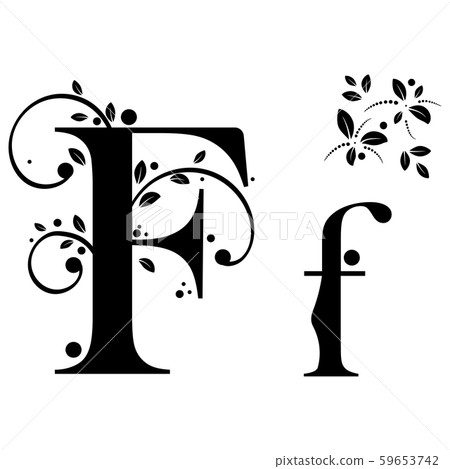 Decorated Alphabet with ornaments vintage vector, Letter F upper and lower case with leaves vector. Decoration vintage for invites card and other concept ideas. Illustration alphabet 59653742