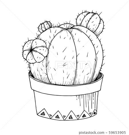 Vector Cacti floral botanical flowers. Black and white engraved ink art. Isolated cactus 59653905