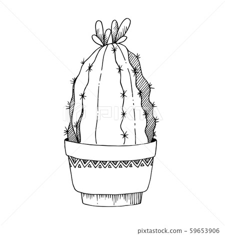 Vector Cacti floral botanical flowers. Black and white engraved ink art. Isolated cactus Vector Cacti floral botanical flowers. Black and white engraved ink art. Isolated cactus 59653906