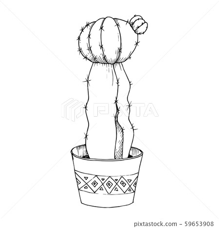 Vector Cacti floral botanical flowers. Black and white engraved ink art. Isolated cactus Vector Cacti floral botanical flowers. Black and white engraved ink art. Isolated cactus 59653908