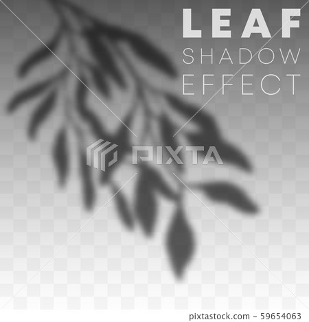 Leaf shadow overlay effect on transparent background. Vector illustration Leaf shadow overlay effect on transparent background. Vector illustration 59654063