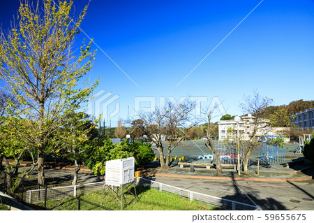 學校(秋天) 學校(秋天) 59655675