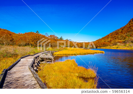 Mt. Akagi / Kakumanen [Gunma Prefecture] 59656314