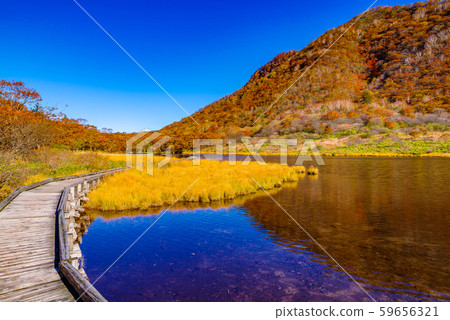 Mt. Akagi / Kakumanen [Gunma Prefecture] 59656321
