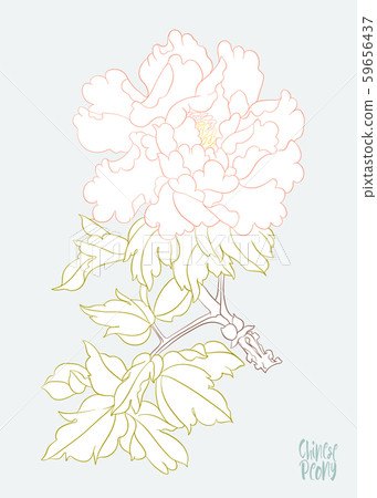 Peony tree branch with flowers Peony tree branch with flowers 59656437