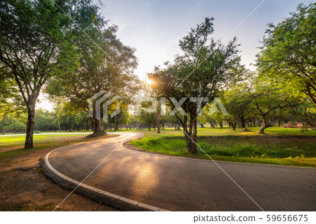 Public Park Outdoor and Lawn Landscape at Sunset, Garden Midtown With Green Plant for Relaxation  59656675