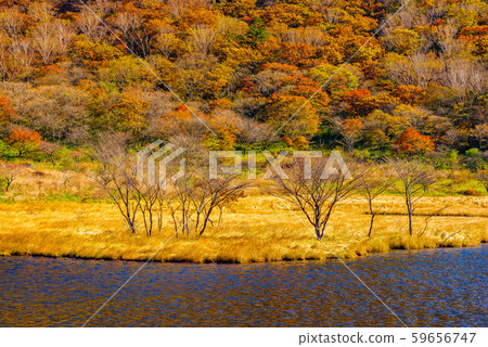 Autumn Kakuman-an [Mt. Akagi, Gunma Prefecture] 59656747