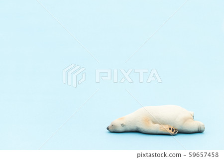 Lying polar bear 59657458