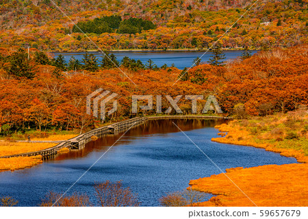 Akagiyama / Torii Pass in autumn [Gunma Prefecture] 59657679