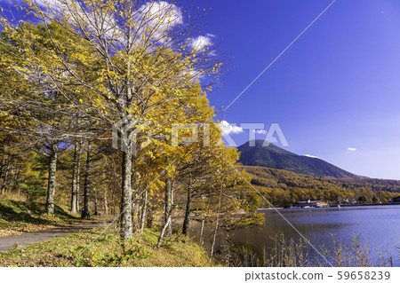 (Nagano) Tateshina, Lake Megami (Nagano) Tateshina, Lake Megami 59658239