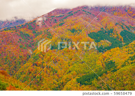 白馬岩岳的風景[長野縣白馬村] 59658479