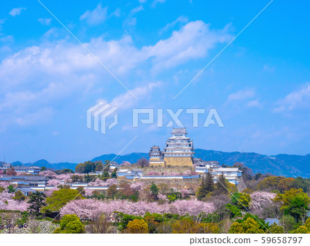 Spring Moment's Himeji Castle Spring Moment's Himeji Castle 59658797