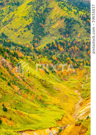 滋賀高原的紅葉[長野縣] 59658837