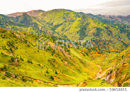 Colored leaves of Shiga Kogen [Nagano Prefecture] 59658855